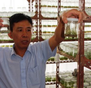 NH China Dr. Wending