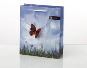 Riedle 1 Schmetterling 3D