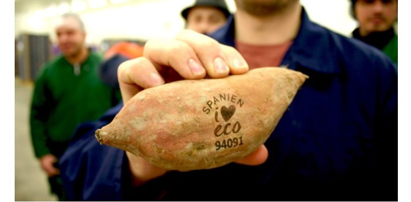 Süßkartoffel mit natürlichen Labeling