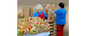 Nahezu unzählige Kombinationen aus Blumengebinden und Zusatzartikeln wurden bei Thimm für die Muttertagskampagne von „Blume 2000“ verpackt. Bild: Thimm