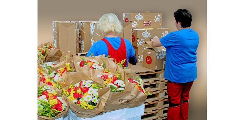 Nahezu unzählige Kombinationen aus Blumengebinden und Zusatzartikeln wurden bei Thimm für die Muttertagskampagne von „Blume 2000“ verpackt. Bild: Thimm