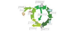 Die Grafik zeigt, wie sich biobasierte Kunststoffe wie PLA in den Recyclingkreislauf eingliedern. Bild: Fraunhofer UMSICHT