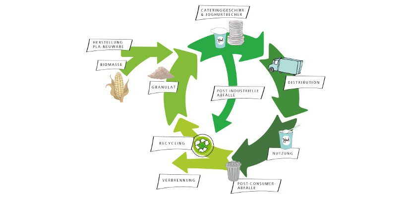 Die Grafik zeigt, wie sich biobasierte Kunststoffe wie PLA in den Recyclingkreislauf eingliedern. Bild: Fraunhofer UMSICHT