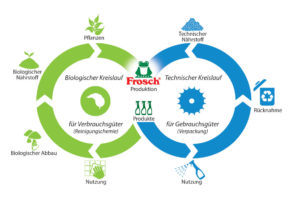 Denken in Kreisläufen: Die Recyclat-Initiative entwickelt ihre Verpackungen nach dem Cradle-to-Cradle™-Prinzip. Dabei werden die Reiniger im biologischen, die Verpackungen im technischen Kreislauf immer wieder verwendet. (Grafik: Werner & Mertz)