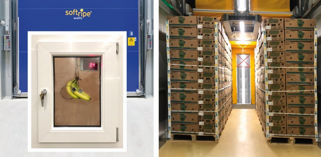Softrip-Reifetechnologie von Frigotec für Banenen (Bild: Fruit Logistica)