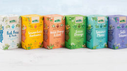 Verpackungsdesign von Hajok Design für Tees von Allos
