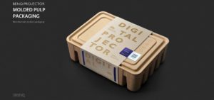 iF-Design-Awards 2019: Schutzverpackung aus Zellstoff für einen Beamer