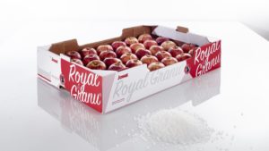 Jowat zeigte auf der Empack Dortmund 2019 recyclingfreundliche Hotmelts