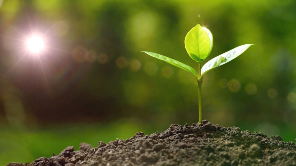 Etimex hebt die Nachhaltigkeit seiner Produkte hervor (Bild: CanStock 50133399/Etimex)