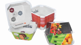 Designed for Recycling: Attraktiv für zahlreiche Anwendungen, IML-T® Cardboard von ILLIG. (Bild: ILLIG)