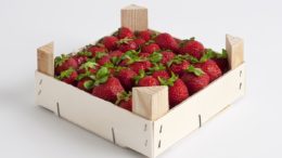 Verpackungen aus Holz stehen bei den Erzeugern von Erdbeeren ganz hoch im Kurs. (Bild: GROW)