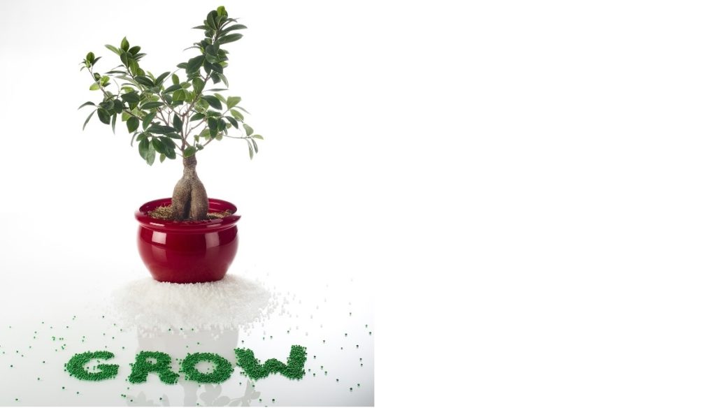 Biobasierte Hotmelts der Reihe Jowatherm® GROW (Bild: Jowat SE)