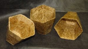 Kompostierbare Pflanzentöpfe (Bild: Fiber Engineering GmbH)