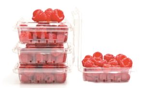 Schale mit Himbeeren