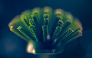 Abbaubarer Kunststoff ist die Zukunftslösung für Nachhaltigkeit. (Bild: VanveenJF/Unsplash.com)