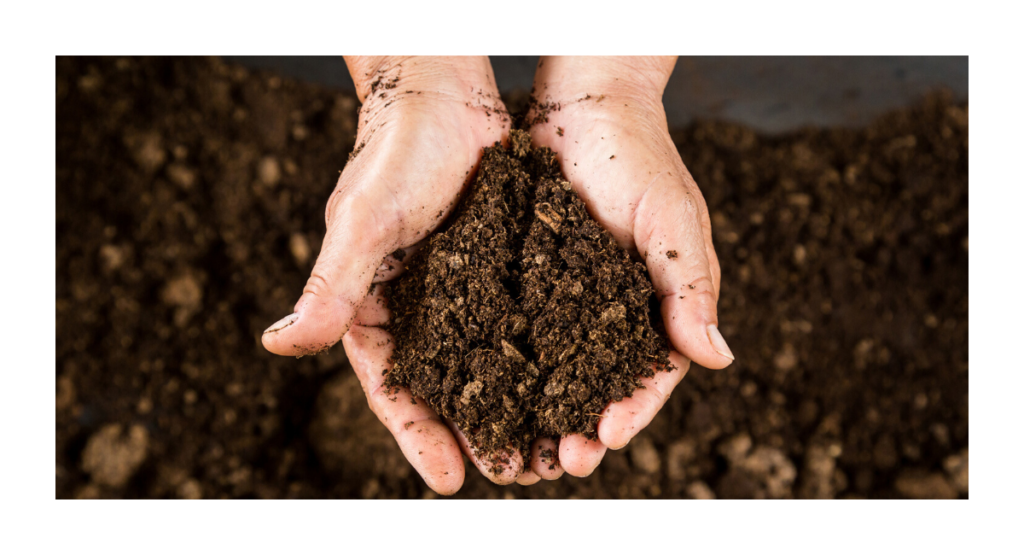 Bei einer industriellen Kompostierung, wie sie die EN 13432 vorsieht, sind die Prozesse deutlich beschleunigt. (Bild: Herma)