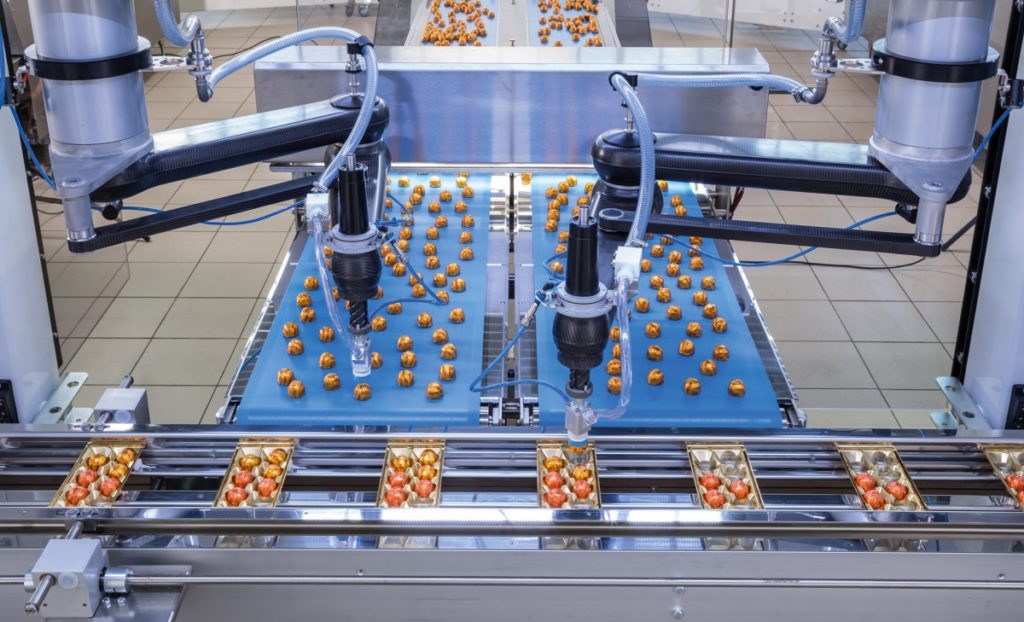 Pickerlinien (hier in Kombination mit einer Packstraße) von Schubert)