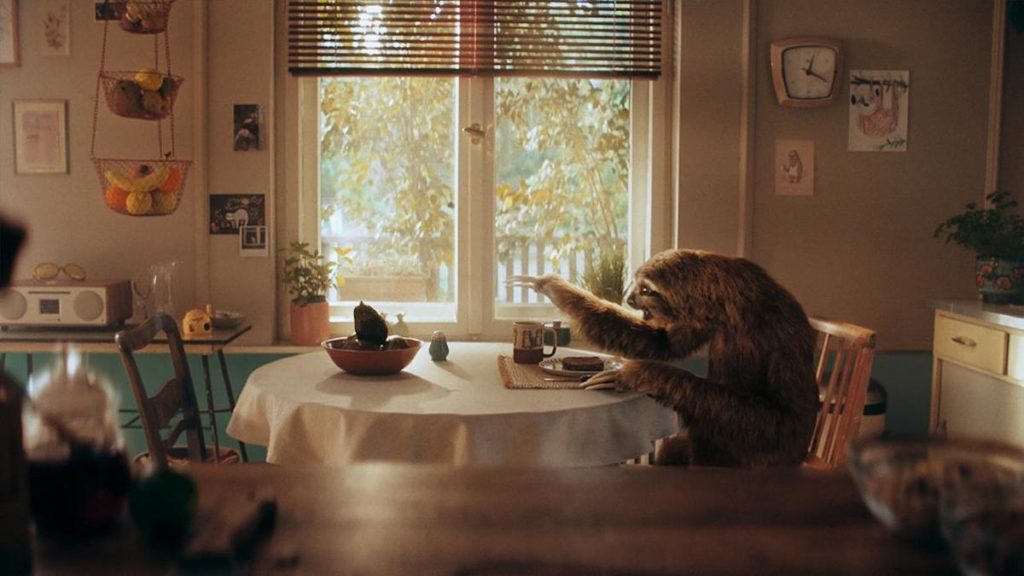 Ein Faultier greift nach einer Avocado