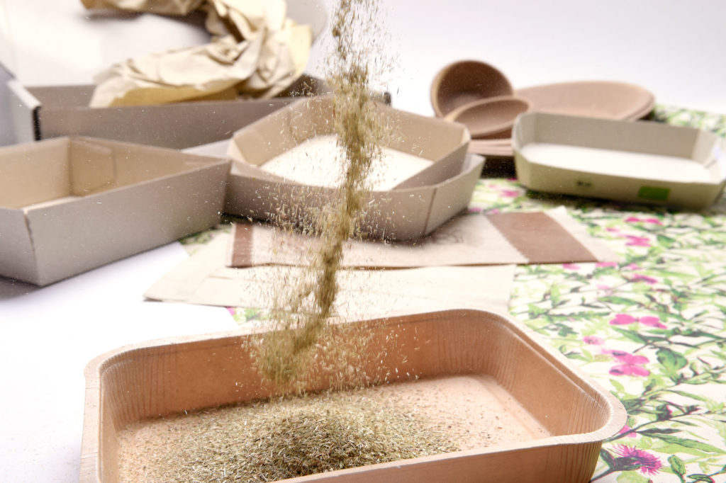 Verschiedene Trays aus Graspapier