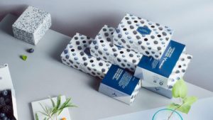 Lebensmittelkarton für Beeren ist recycelbar und kompostierbar