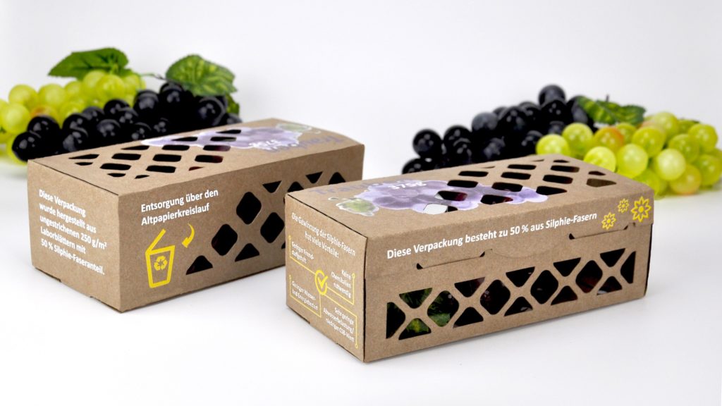 Verpackungslösung aus Silphie-Fasern (GreenCycle)