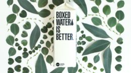 Grafikdesigntrend von Boxed Water isbetter