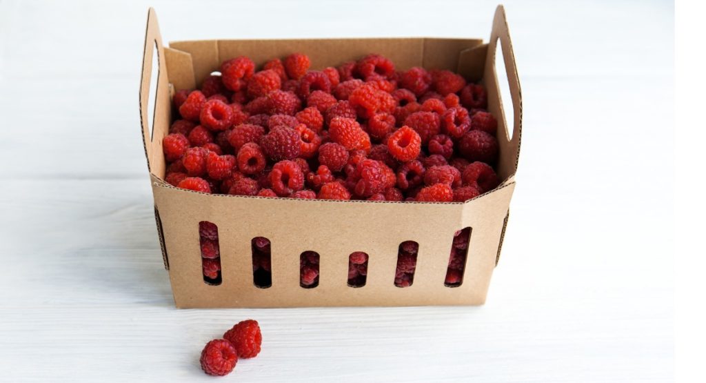 Obstschalen aus Wellpappe