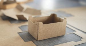 Silphie-Papier und Karton aus 35 Prozent Silphiefasern