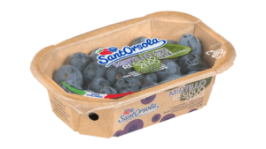 Blaubeerschale mit kompostierbarer Folie