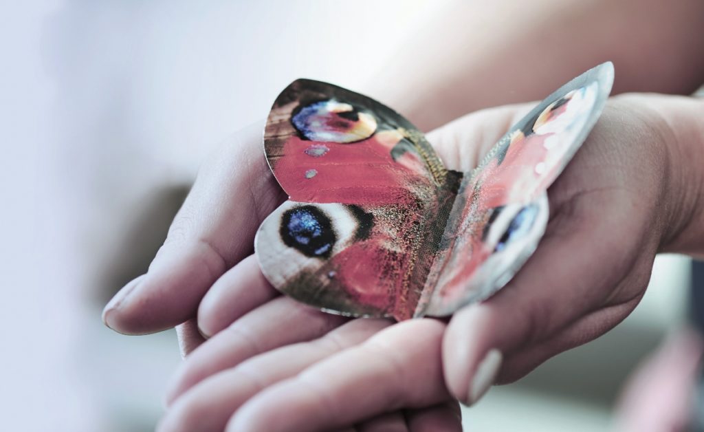 Konturensachet mit einer Zweikammerlösung in Form eines Schmetterlings