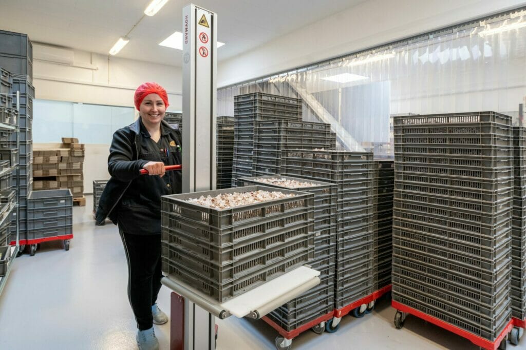 Hovmand Kistenheber in der Lebensmittelproduktion Hovmand Kistenheber in der Lebensmittelproduktion