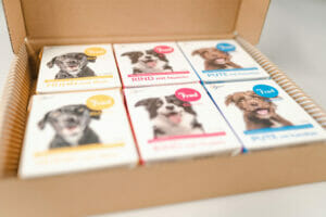 Karton mit sechs Packungen Hundefutter. Die Tetra Paks von Mr. Fred sind gelb, blau und pink und zeigen einen Hund.