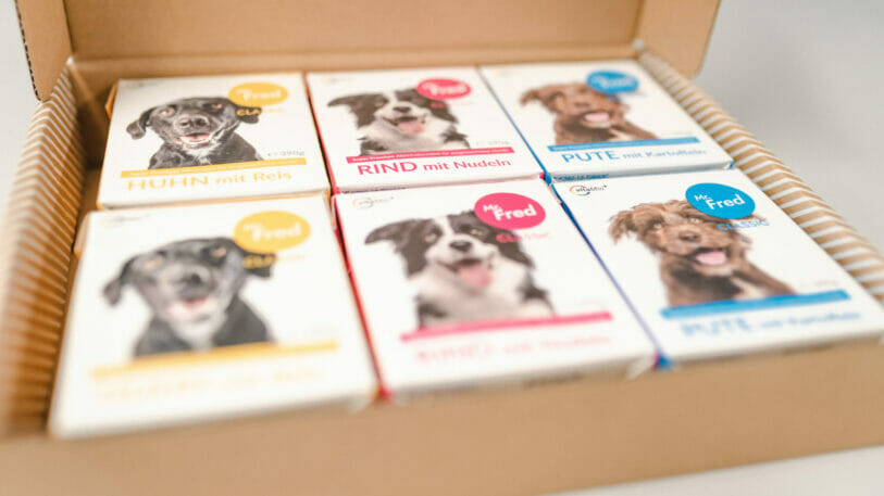 Karton mit sechs Packungen Hundefutter. Die Tetra Paks von Mr. Fred sind gelb, blau und pink und zeigen einen Hund.