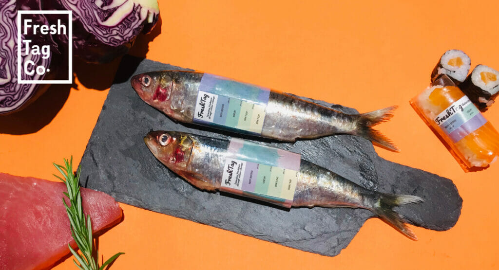 Eine Anwendung des FreshTag-Indikators an zwei Fischen