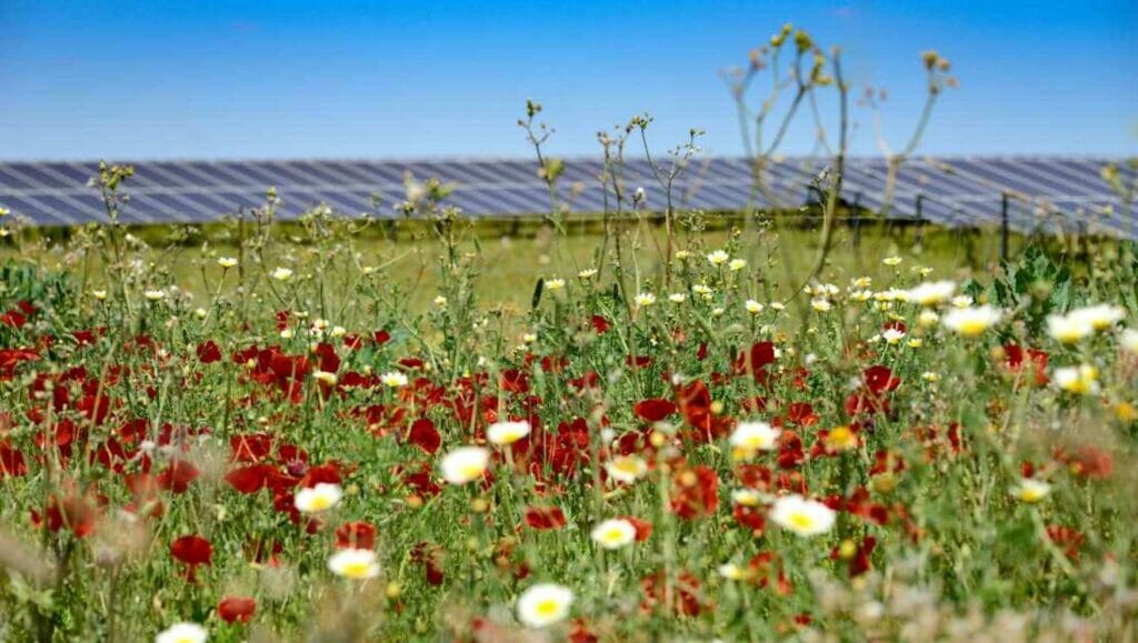Huhtamaki China will bis 2030 100 Prozent CO2-neutral produzieren. Dazu sollen Werke mit erneuerbaren Energien aus eigenen Solaranlagen betrieben werden.