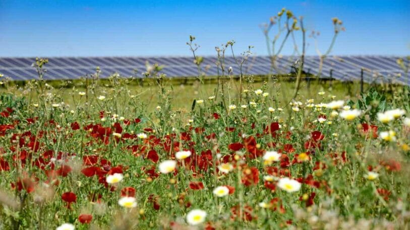 Huhtamaki China will bis 2030 100 Prozent CO2-neutral produzieren. Dazu sollen Werke mit erneuerbaren Energien aus eigenen Solaranlagen betrieben werden.