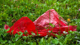Auf einer grünen Wiese liegt eine rote Plastiktüte für Obst und Gemüse.