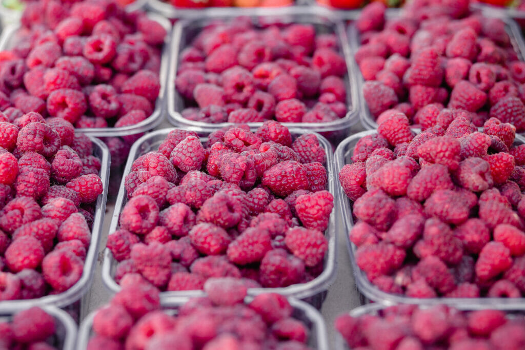 Nahaufnahme von Himbeeren in Kunststoffschalen.