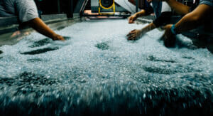 BASF investiert in Oceanworks