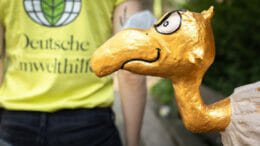 Bild von einem goldenen Geier aus Pappmasche und einem gelben T-Shirt mit dem Logo der Deutschen Umwelthilfe