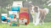 Image of different stand-up packaging and a dog, that is running in the background
