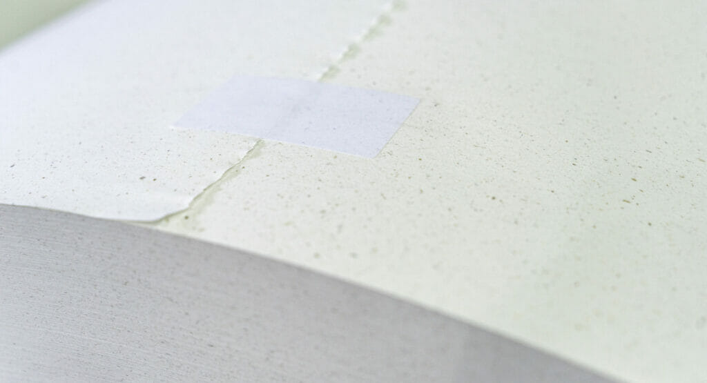 Close-up of a paper roll with sugar beet fiber