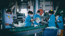 Image of women in a recycling company