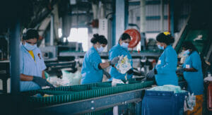 Image of women in a recycling company