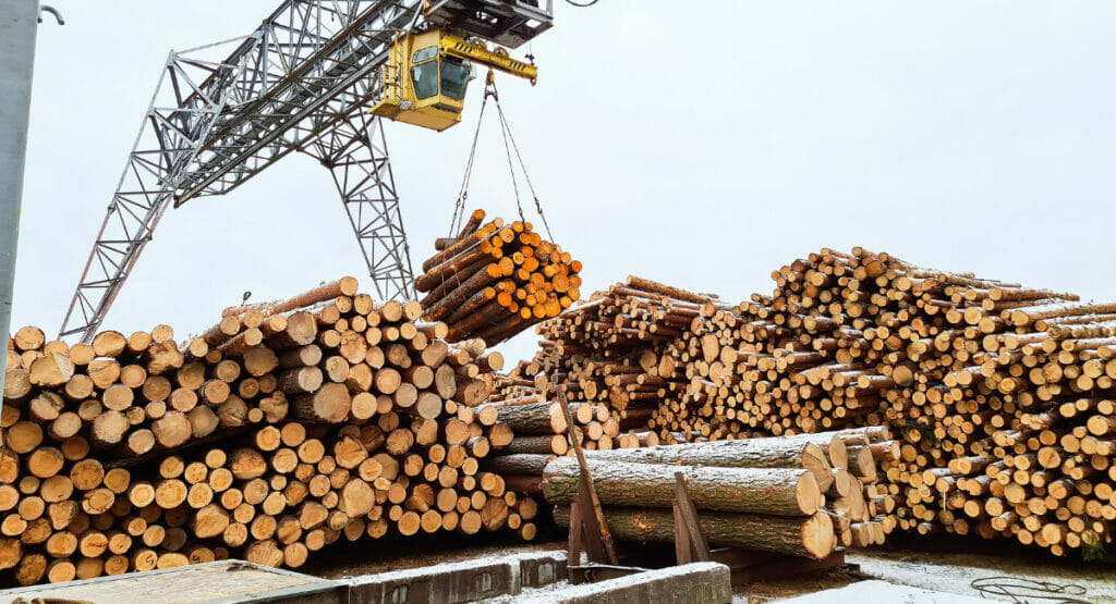 Bild von vielen Baumstämmen und einer Krananlage