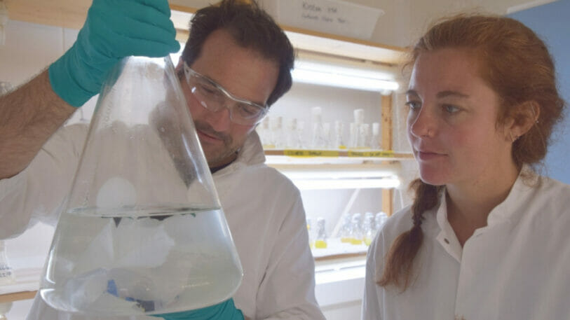 Maaike Goudriaan and Helge Niemann in the lab