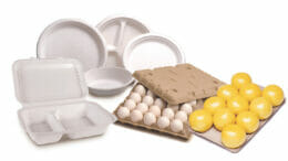GeoPack comprises a wide range of sustainable solutions, including egg cartons and trays made from cast fibre and rPET.