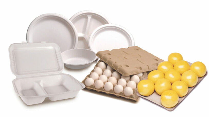 GeoPack comprises a wide range of sustainable solutions, including egg cartons and trays made from cast fibre and rPET.