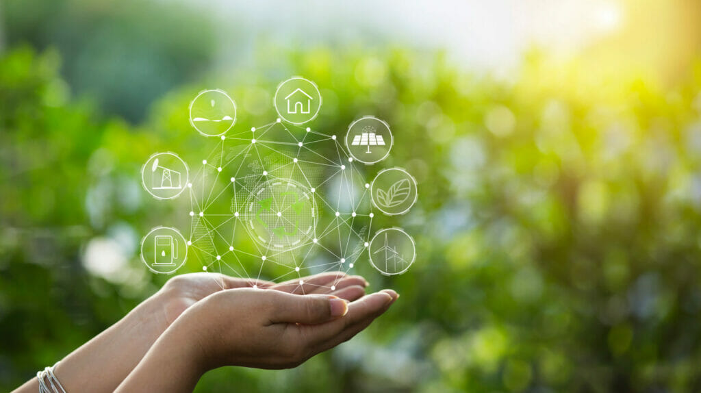 Metsä Board wurde für Transparenz und Leistung im Klima-, Wasser- und Waldschutz ausgezeichnet.