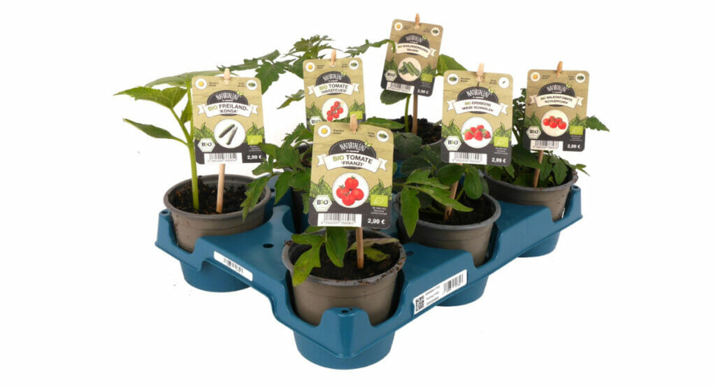 Mehrwegpalette Floritray Toom Baumarkt